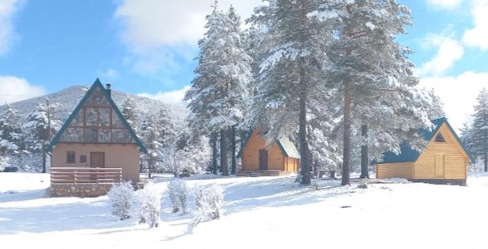 Chalet Cilac Žabljak Exteriér fotografie